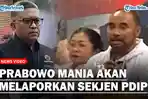 Prabowo-Mania-08.jpg