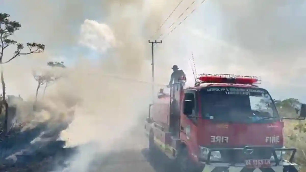 Belukar Seluas 20 Hektare di Jalur Pantai Asmara Terbakar, Lima Jam Damkar Gabungan Padamkan Api - Banjarmasinpost.co.id