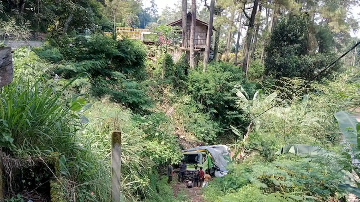 Sopir Mengantuk, Truk Pengangkut Pakan Ayam Terjun Bebas ke Jurang di Pamulihan Sumedang