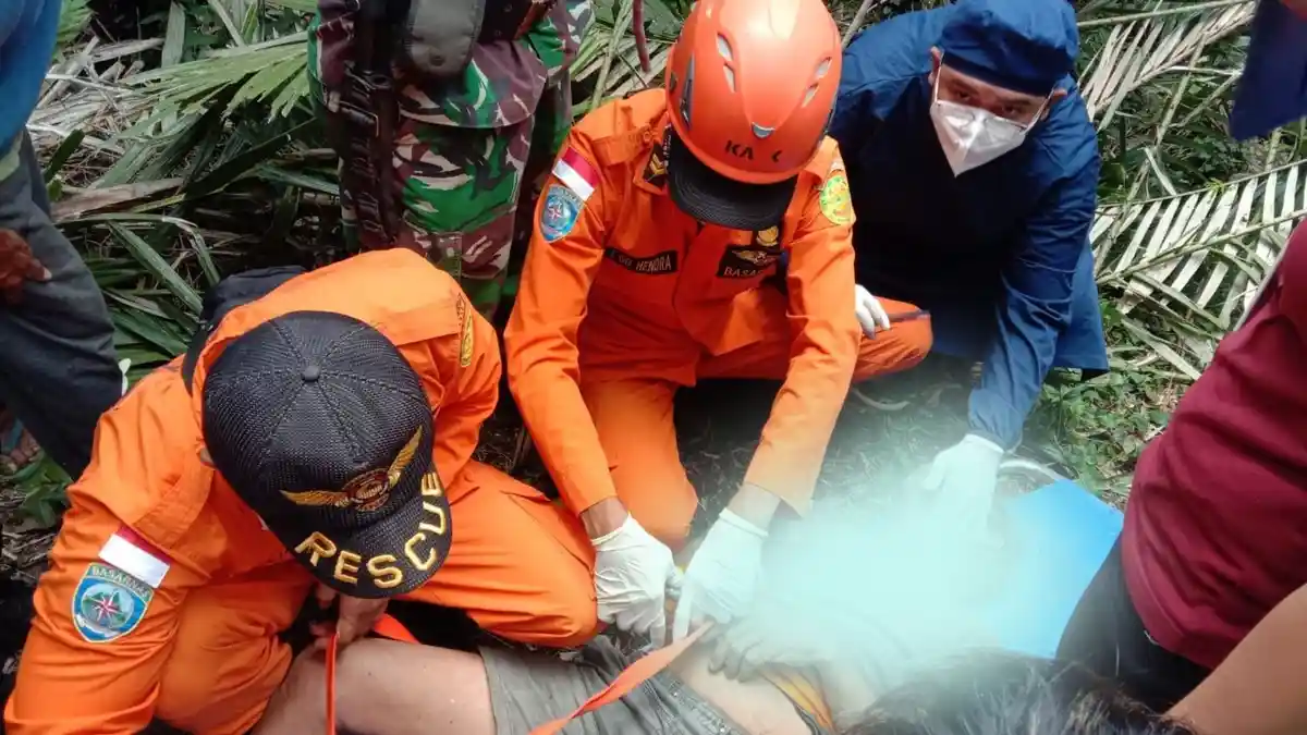 Seorang Pria di Karangasem Meninggal di Pelepah Pohon Kelapa
