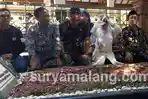 rieke-diah-pitaloka-ziarah-ke-makam-gus-dur-mengenang-kebersamaannya-hampir-tiap-jumat.jpg