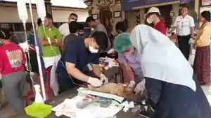 Suasana-saat-Bidang-Keswan-Kesmavet-bersama-pihak-terkait-melaksanakan-kastrasi.jpg