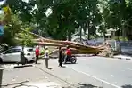 tumbang-pohon-tua-di-kantor-gubernur-ntb-tumbang-dan.jpg