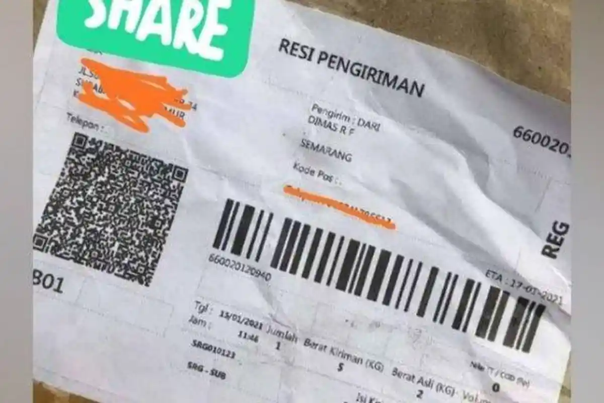 King Kobra Lolos dari dalam Paket Pengiriman, Pengamat Reptil Ungkap Cara Pengemasan yang Benar