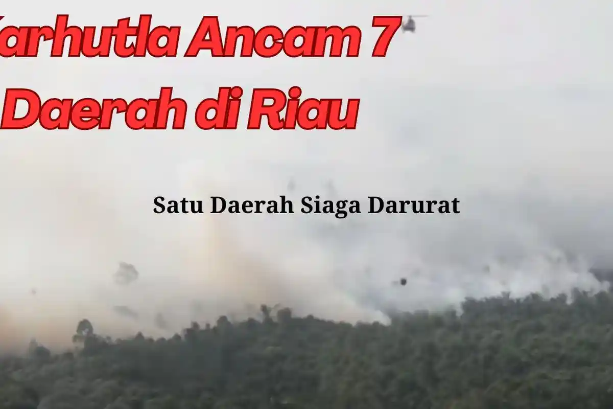 Karhutla Mulai Ancam 7 Daerah di Riau, BPBD Riau: Dumai Siaga Darurat