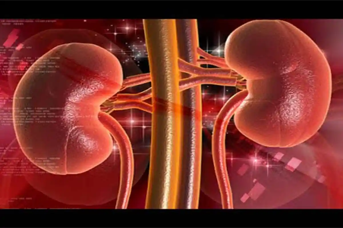 6 Minuman Ini Ampuh Bersihkan Ginjal, Konsumsi Minuman ini dengan Rutin