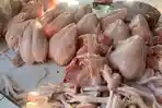 Dampak Tradisi Nyadran Jelang Ramadan, Harga Daging Ayam di Kota Yogyakarta Merangkak Naik