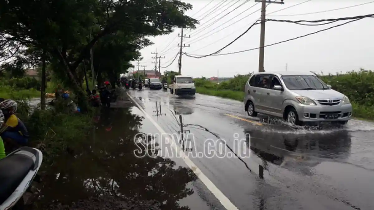 Banjir Kali Lamong di Kabupaten Gresik, Warga Memancing Ikan yang Lepas dari Tambak