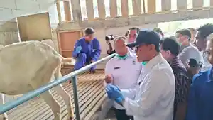Fermentasi-kambing-etawa-mranggen.jpg