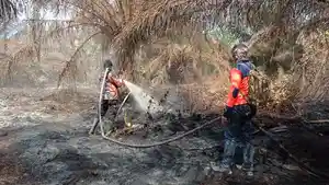 Upaya-Pendinginan-Karhutla-di-Kecamatan-Rupat-masih-terus-dilakukan-tim-gabungan.jpg