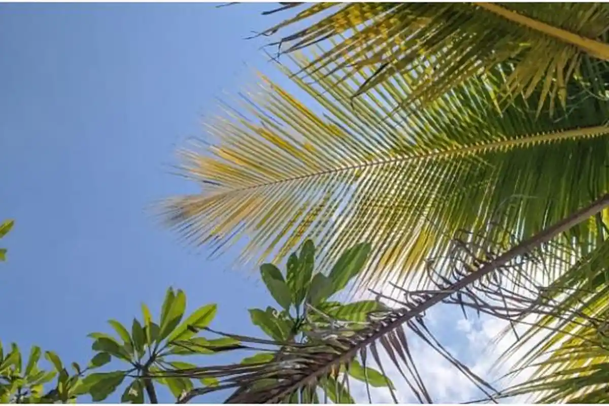 Prakiraan Cuaca Maluku Sabtu, 2 Maret 2024: Ambon, Dobo, Leksula, Saumlaki Hujan Ringan