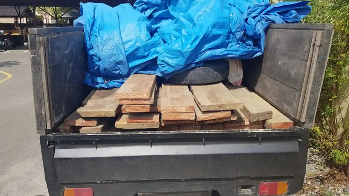 Polisi Tangkap Pick Up Angkut Kayu Illegal di Keumala, Pelaku Dibidik Pasal Perusakan Hutan