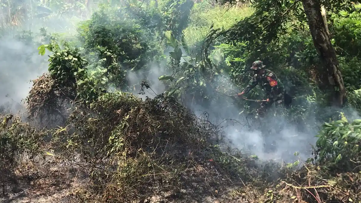 Kebakaran Lahan Pulau Bintan Tak Berkesudahan, Prajurit TNI AD Bersama Warga Padamkan Api