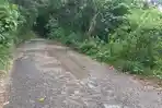 Inilah-lokasi-sejumlah-oknum-warga-melakukan-aksi-pemalakan-di-Wolokoli.jpg