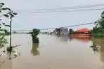 Kondisi Banjir Bojonegoro, Enam Desa di Kapas Terendam Banjir Dampak Luapan Sungai Pacal