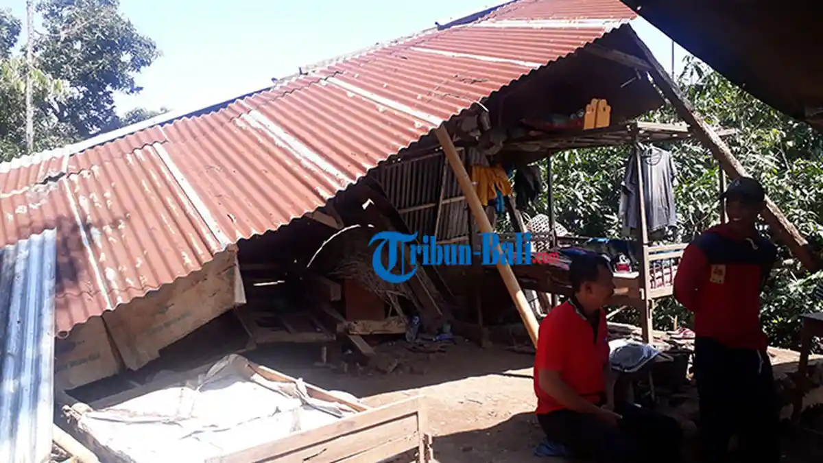 Puluhan Rumah dan Pura Terdampak Gempa Buleleng, Termasuk Gubuk Wayan Winasa Roboh