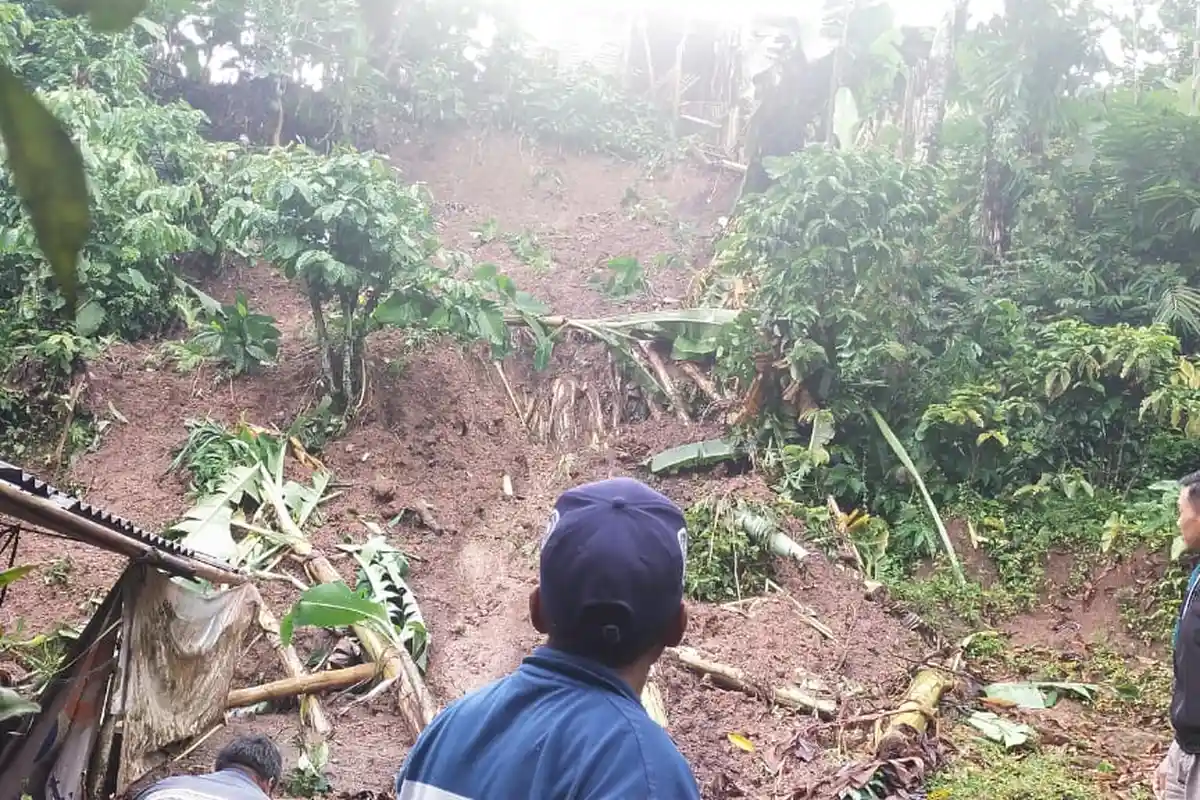 Diguyur Hujan Sejak Minggu Malam, Tebing Setinggi 12 Meter di Soco Kudus Longsor