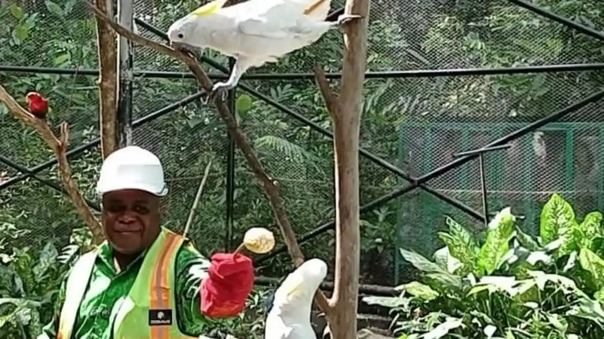 Gerak Cepat Pemprov Papua Barat Daya Cegah Penyelundupan Satwa Endemik Papua
