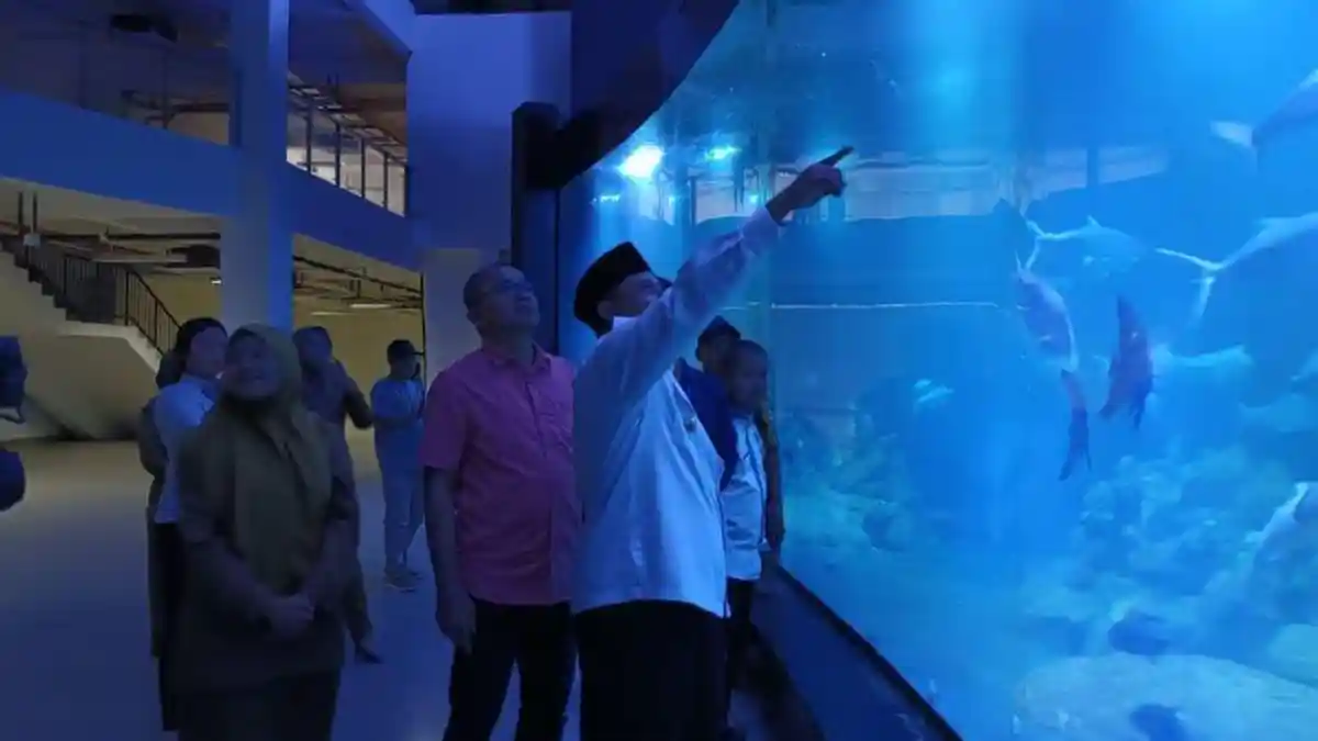 Aquarium Indonesia, Tempat Wisata di Pangandaran, Pengunjung Bisa Berinteraksi dengan Hewan Laut