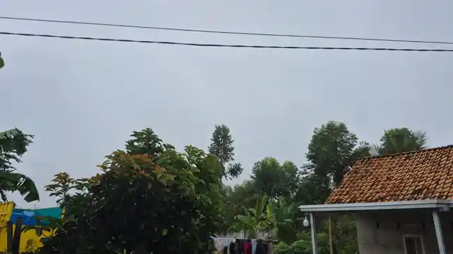 Tribun