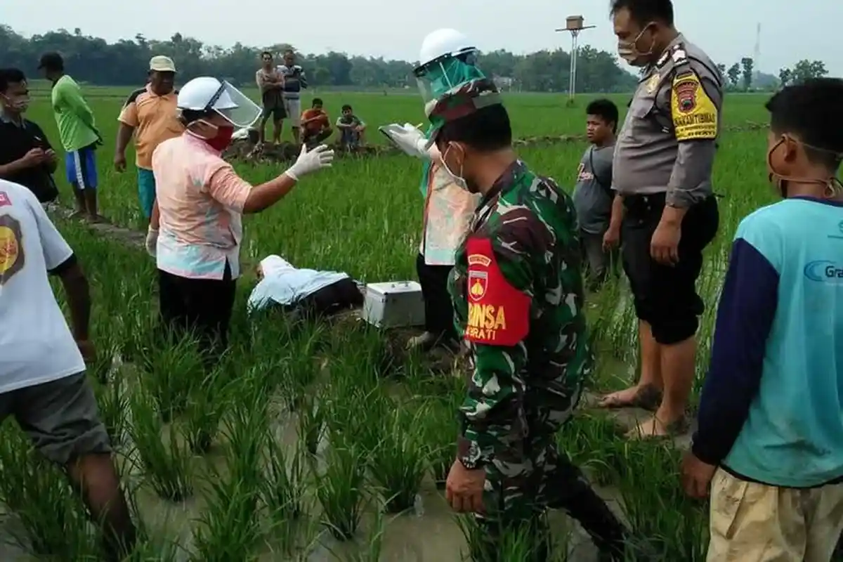 Meninggal Mendadak di Sawah, Pria Ini Ditemukan Temannya Sudah Tengkurap, Dipanggil tak Merespon