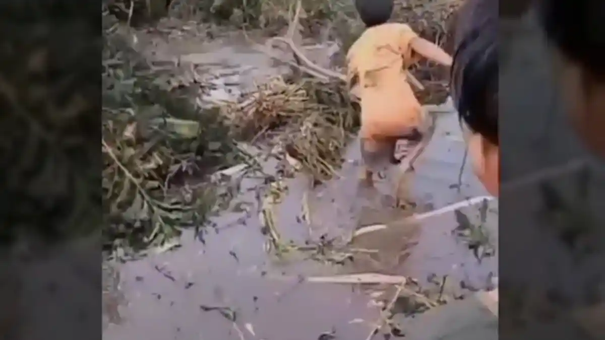 Viral Video Anak-anak Bermain Buaya, Menggunakan Kayu untuk Mengusir Pergi