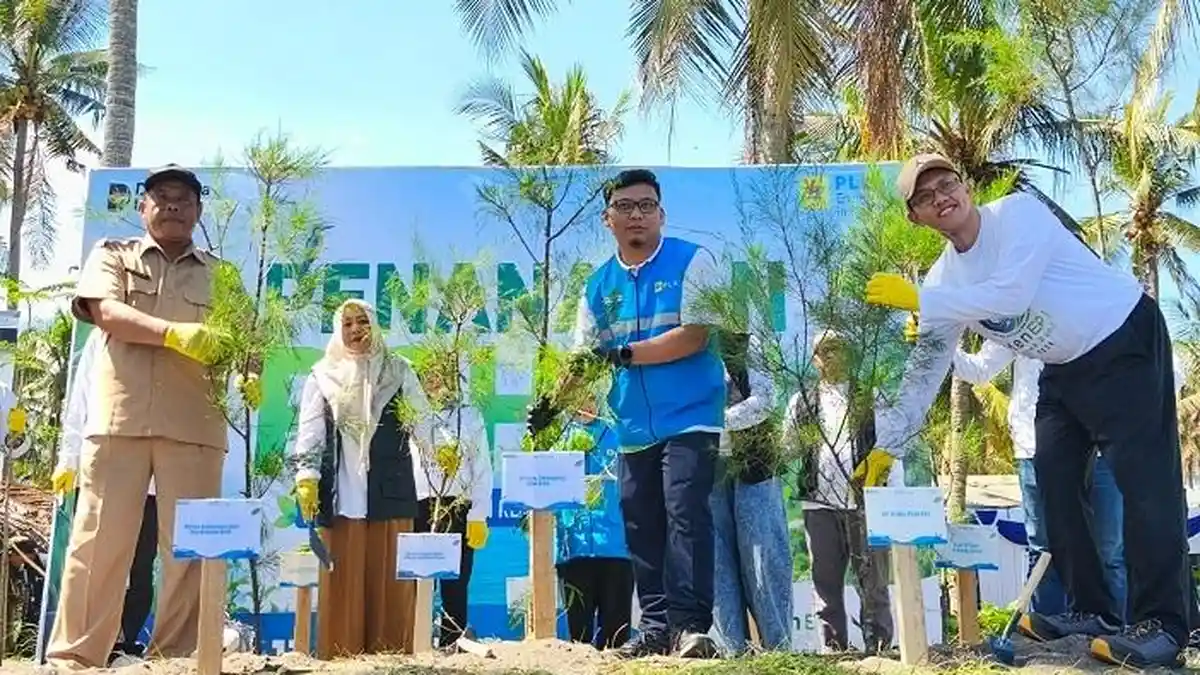 PLN EPI Tanam 2.500 Bibit Pohon untuk Menjaga Pesisir Lombok: Bukan Aksi Simbolis Semata