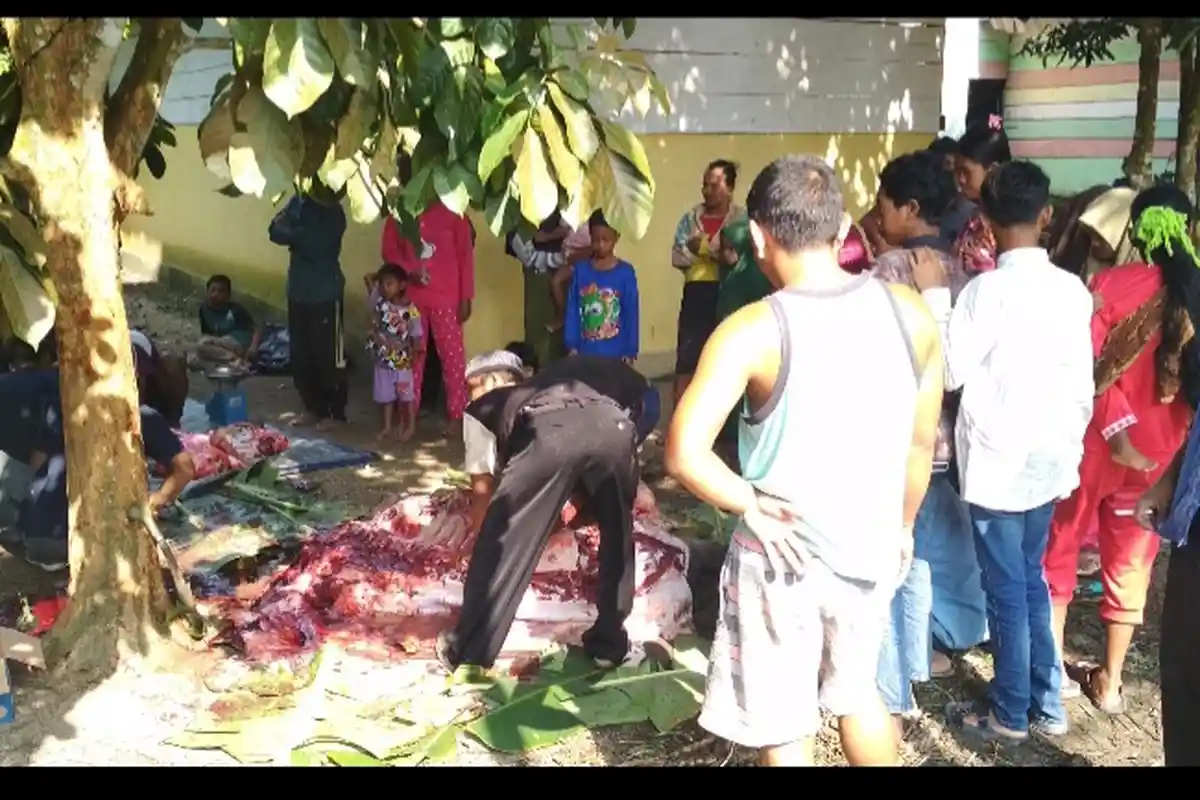 Aktifitas Suku Anak Dalam di Muratara Saat Merayakan Hari Raya Idul Adha, Masih Ada Tinggal di Hutan