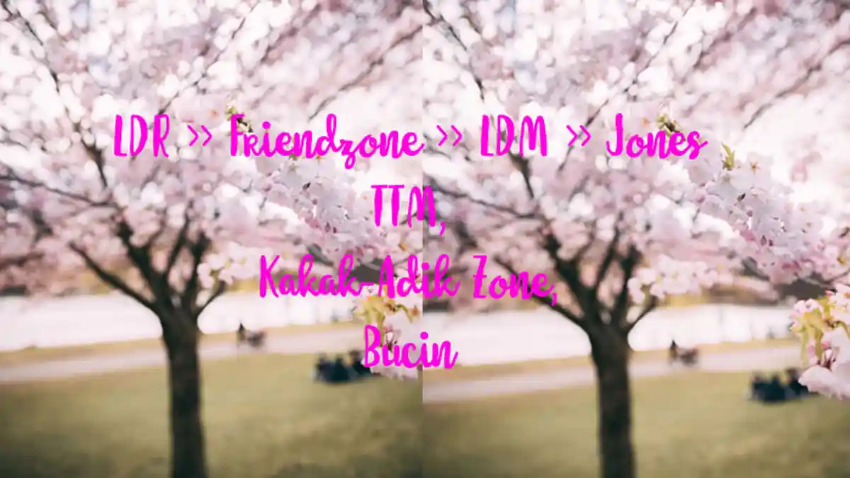 Arti LDR, LDM, TTM, Friendzone, Kakak-AdikZone, Jones, Bucin, Kamus Bahasa Gaul