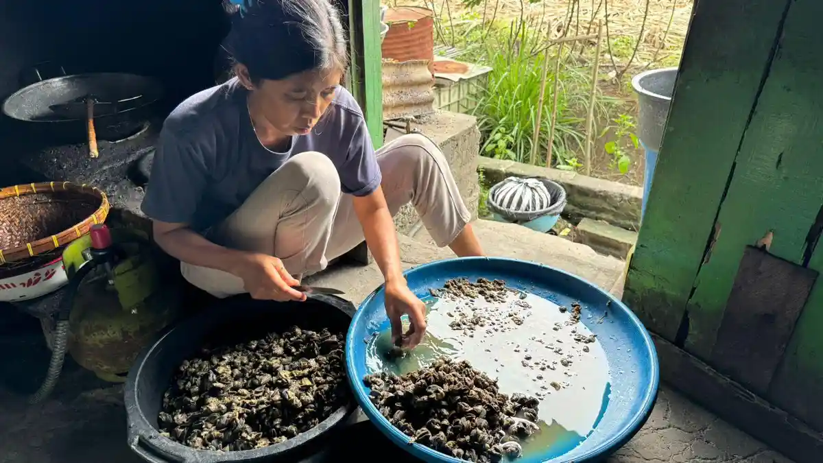 Aneka Olahan Bekicot, Kuliner Khas Unik dan Ikonik dari PlosoKidul Kediri