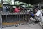PT Elnusa Tangkap Macan Dahan