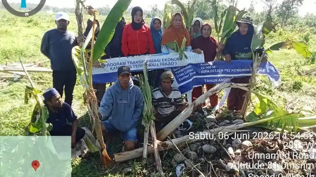 Tribun