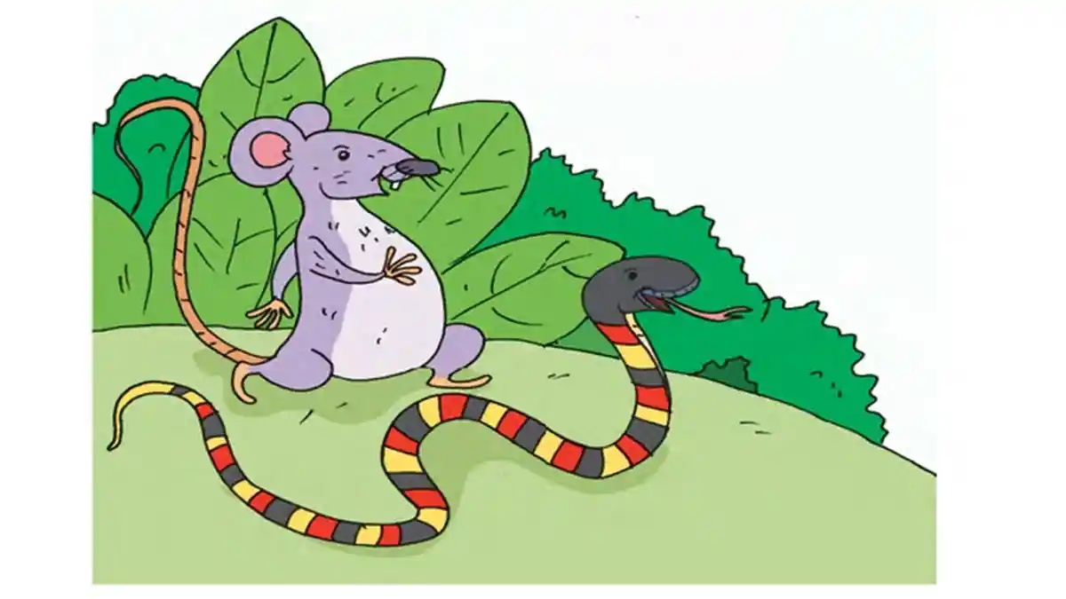 Kunci Jawaban Kelas 2 Tema 7 Halaman 7: Mengapa Ular dan Tikus Dapat Hidup Bersama?