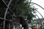 Pembangunan Shelter TMB Koridor 4 Bandung