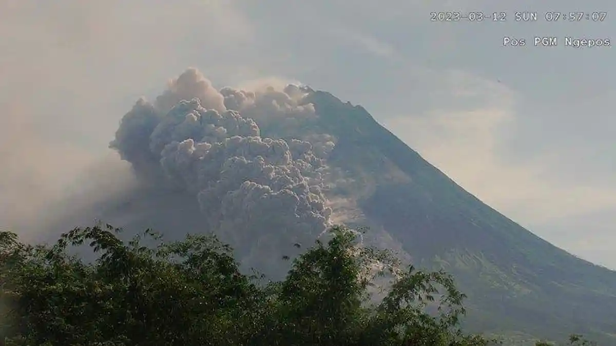 2 Hari Gunung Merapi Erupsi, Tercatat 54 Kali Guguran Awan Panas hingga Sejauh 3,7 Km