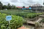 LOKASI-PENAS-Potret-display-Kementerian-Pertanian-di-lokasi-Penas-Petani.jpg