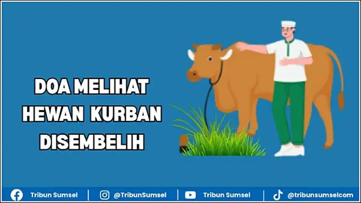 Doa Melihat Hewan Kurban Disembelih Sesuai Ajaran Rasulullah, Teks Arab, Latin dan Arti