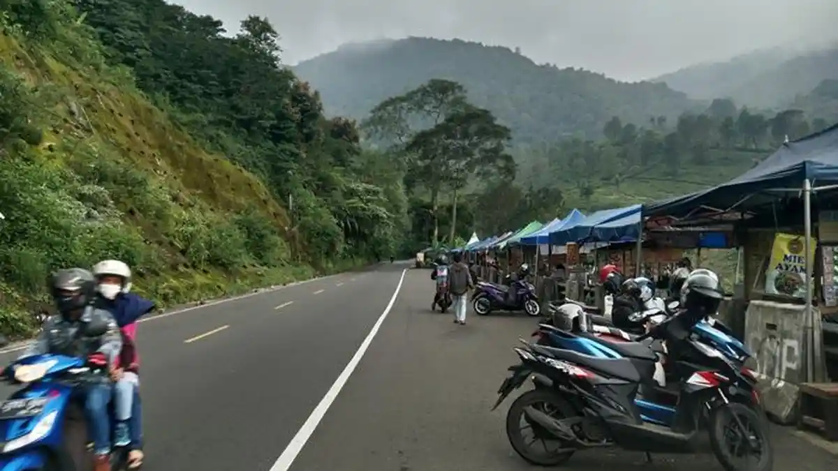 BMKG Citeko: Kawasan Puncak Bogor Akan Diguyur Hujan Ringan Siang Nanti