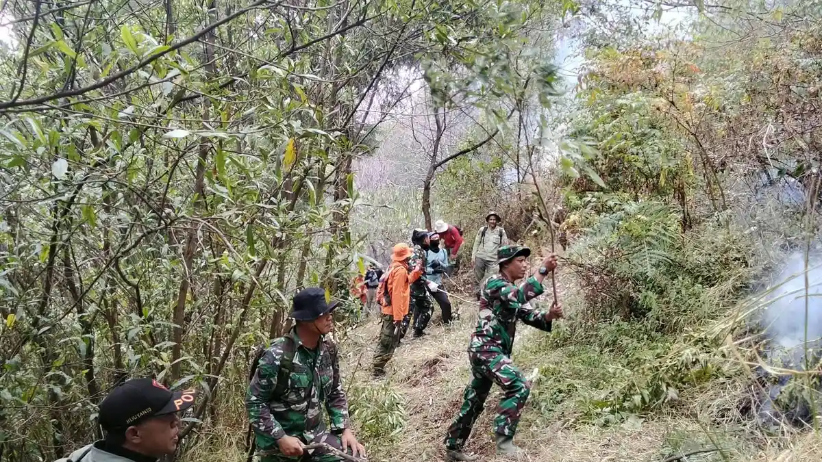 Api Belum Padam, 200 Hektare Hutan Sumbing Ludes