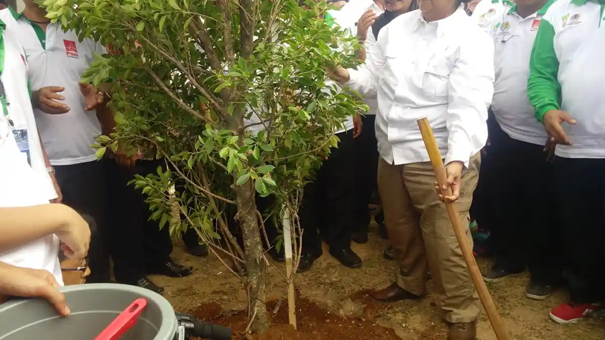 Kementerian LHK Tanam 7700 Pohon di Huta Ginjang Tapanuli Utara