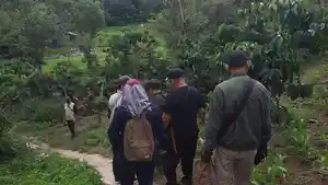Tidak-ada-jejak-beruang-7-juni-2026.jpg