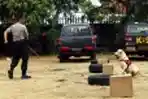 Pelatihan Satwa K-9 Direktorat Sabhara Polda Metro Jaya