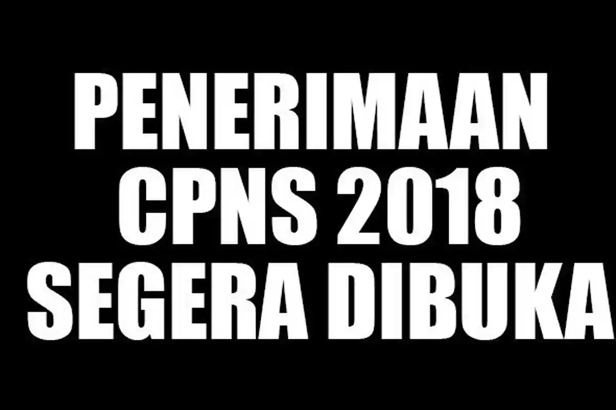 Segera Dibuka 220 Ribu Lowongan PNS pada 7-17 Juli 2018 Besok, Catat Nih Persyaratannya!