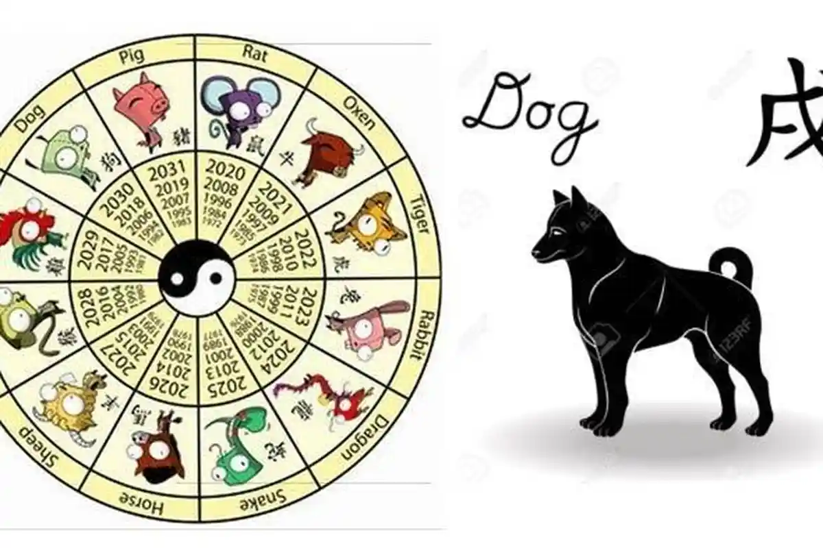 Ramalan Shio 2021 - Ramalan Keberuntungan Shio Babi di Tahun Kerbau Logam