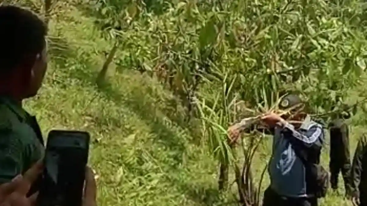 Merasa Diperalat, Petani Protes Sistem Perhutanan Sosial yang Dibangun di Tenggulun