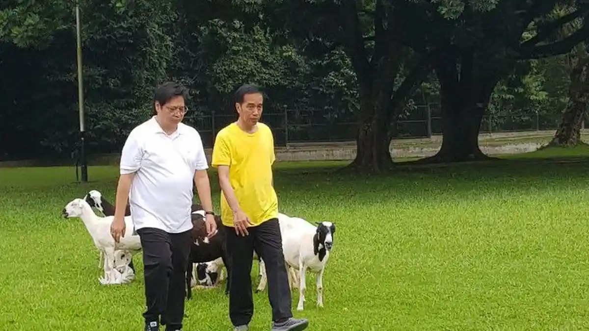 Airlangga Hartarto Pasrah Soal Peluangnya Dampingi Jokowi di Pilpres 2019