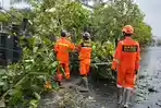 Cuaca Ekstrem di Kediri, Pohon Tumbang Tutup Jalan dan Ganggu Listrik 