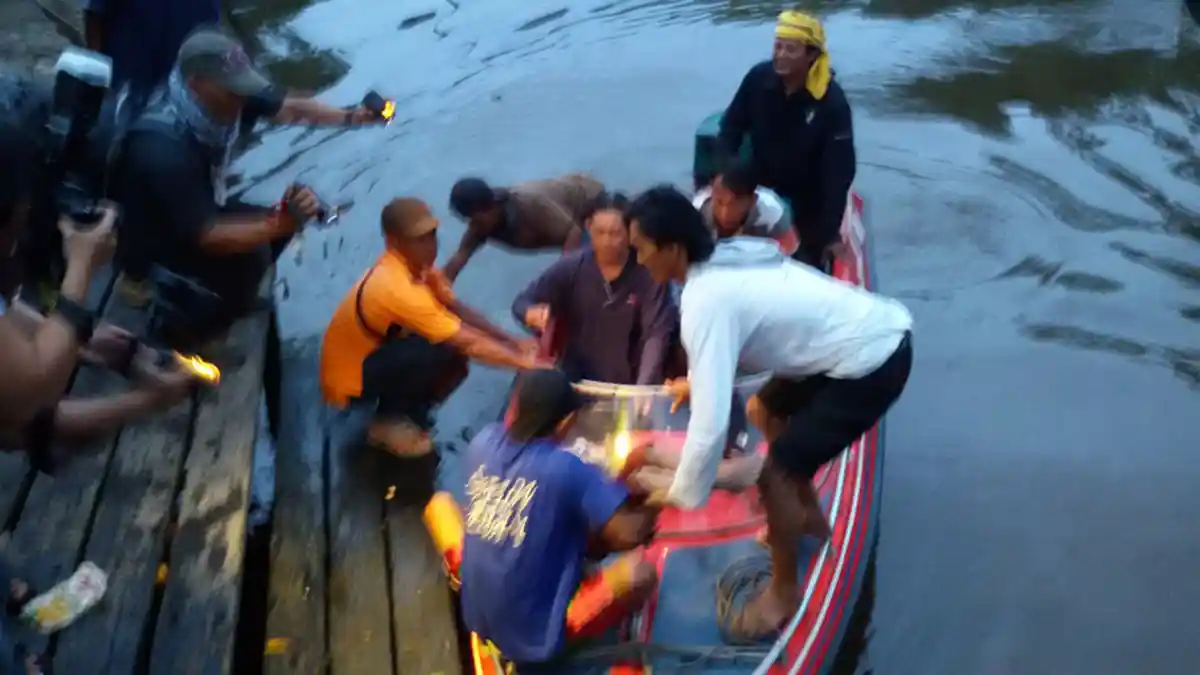 Bocah Lima Tahun Korban Insiden Perairan Kubu Ditemukan