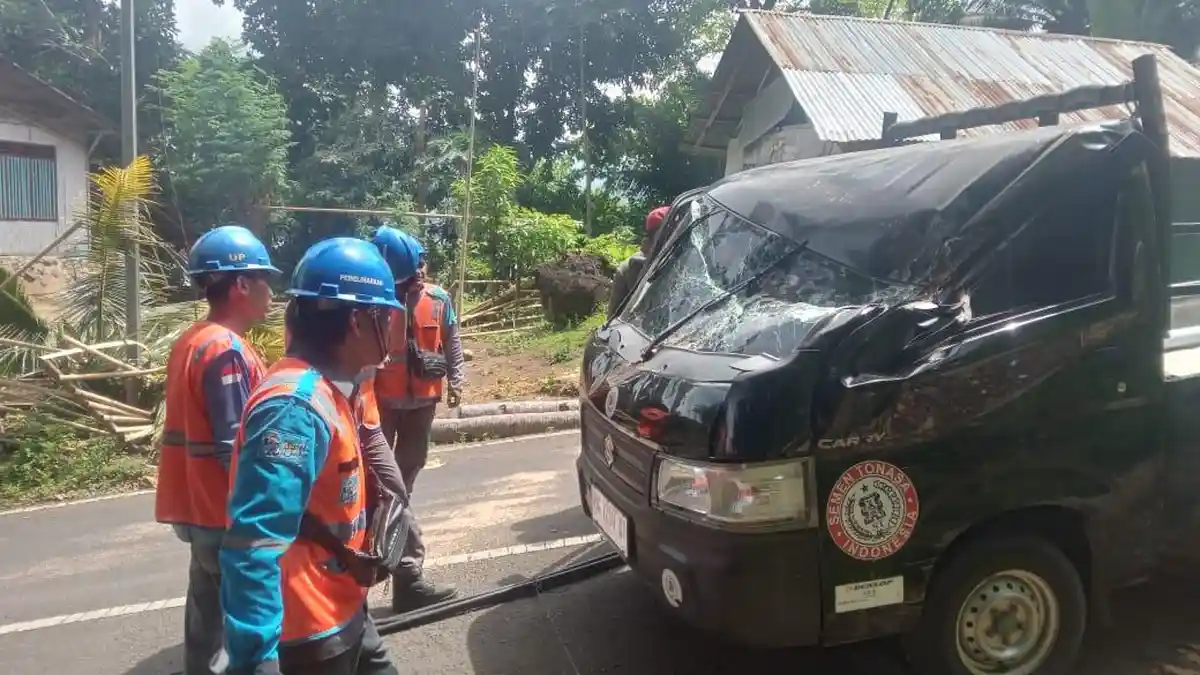 Kapolsek Lembeh Sebut Pohon Tumbang di Batu Lubang Bitung Akibat Akar Rapuh dan Tanah Labil