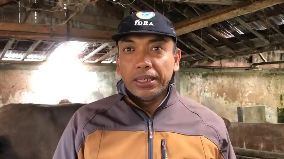 Menjelang Iduladha, Dispaperkan Wonosobo Intensifkan Pengawasan Hewan Ternak